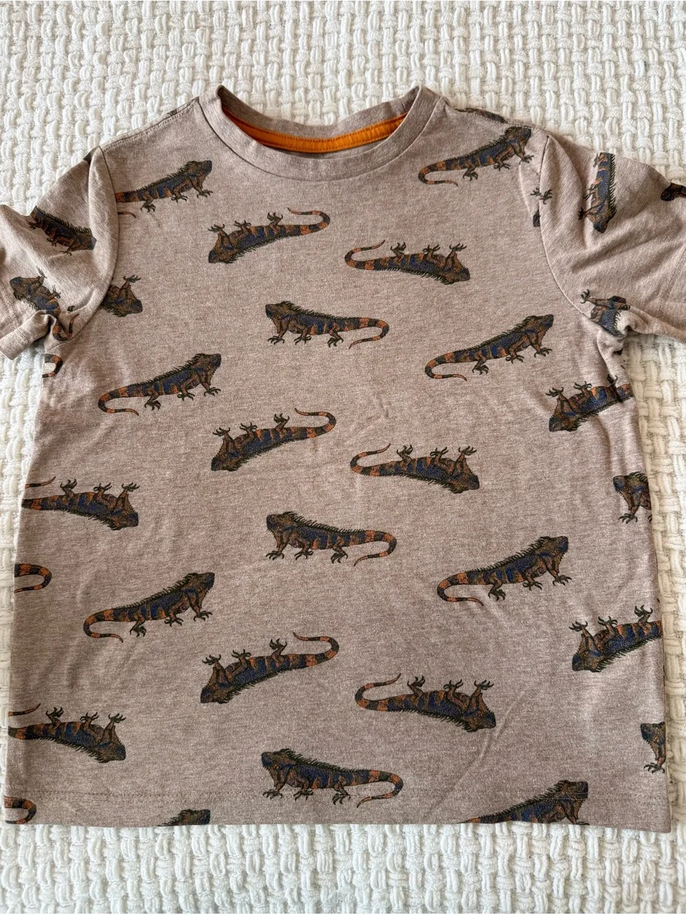 Old Navy Brown Short Sleeve Tee with Iguana Print